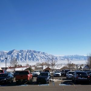 Meet your Posher, Alisha